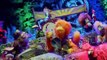 Fraggle Rock: Back to the Rock Fraggle Rock: Back to the Rock E007 – Flight of the Flutterflies