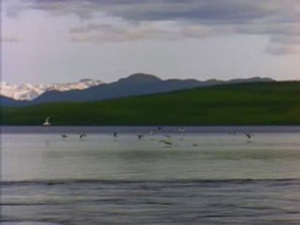 Lake
