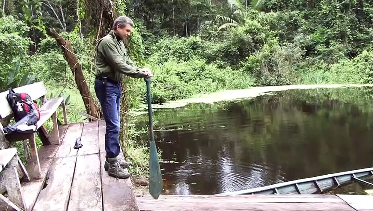 Amazonia: Healing with Sacred Plants | movie | 2015 | Official Trailer