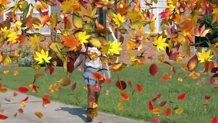 Thanksgiving with the Carters | movie | 2019 | Official Trailer