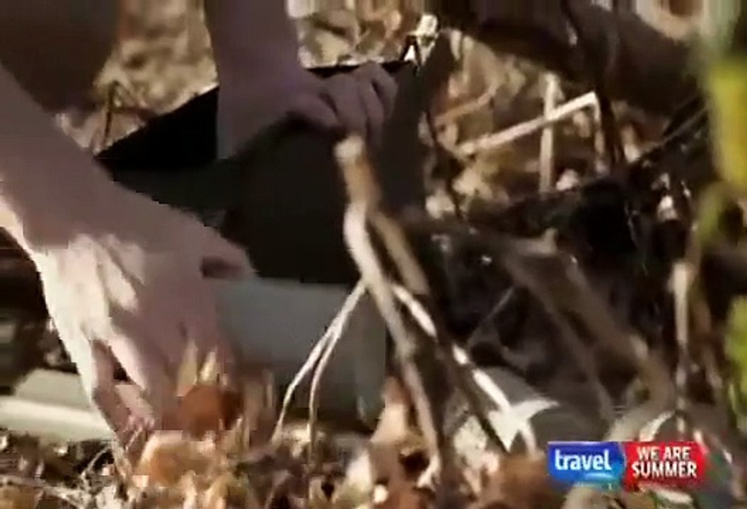 Mysteries at the Museum - Se8 - Ep13 HD Watch