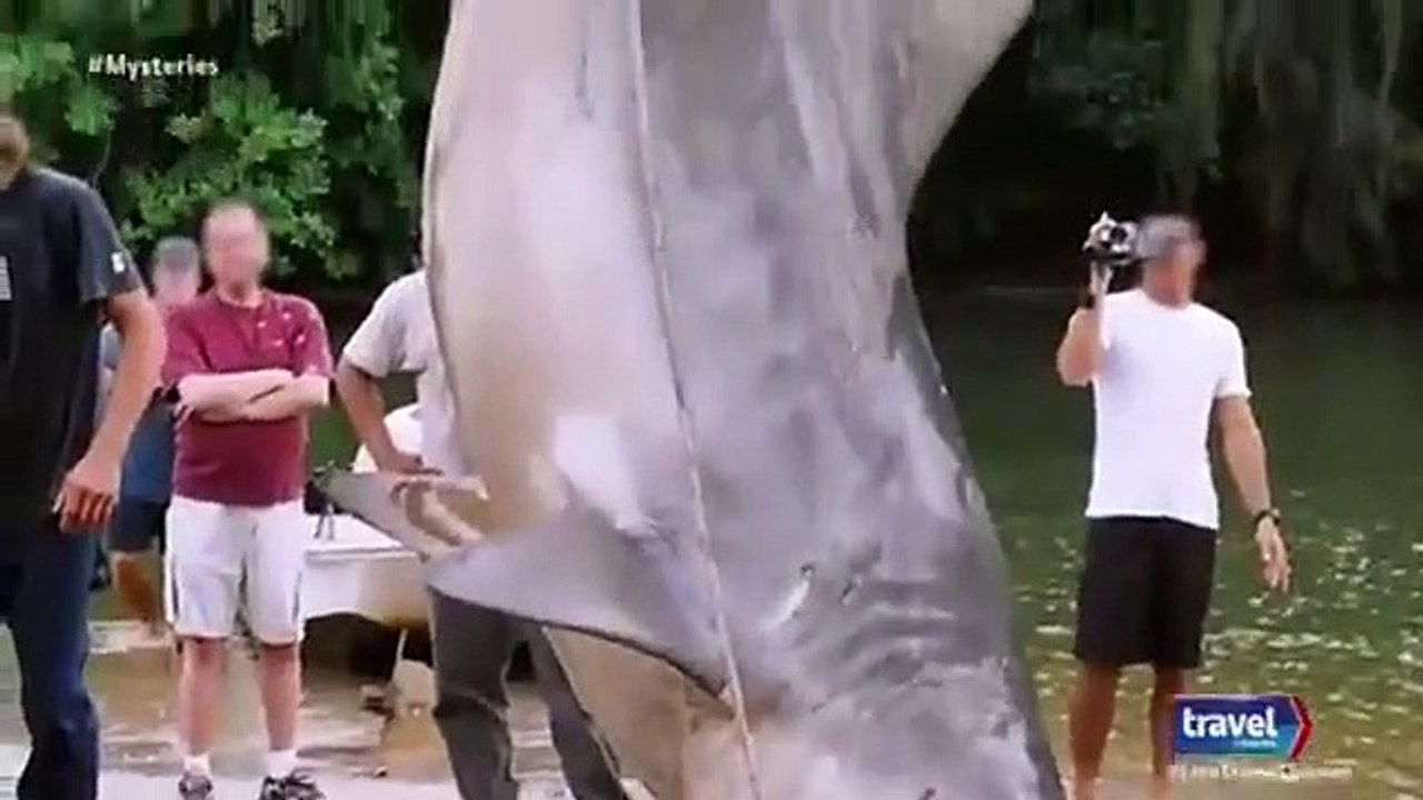 Mysteries at the Museum - Se8 - Ep11 HD Watch