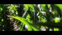 Children of the Corn: Genesis | movie | 2012 | Official Trailer