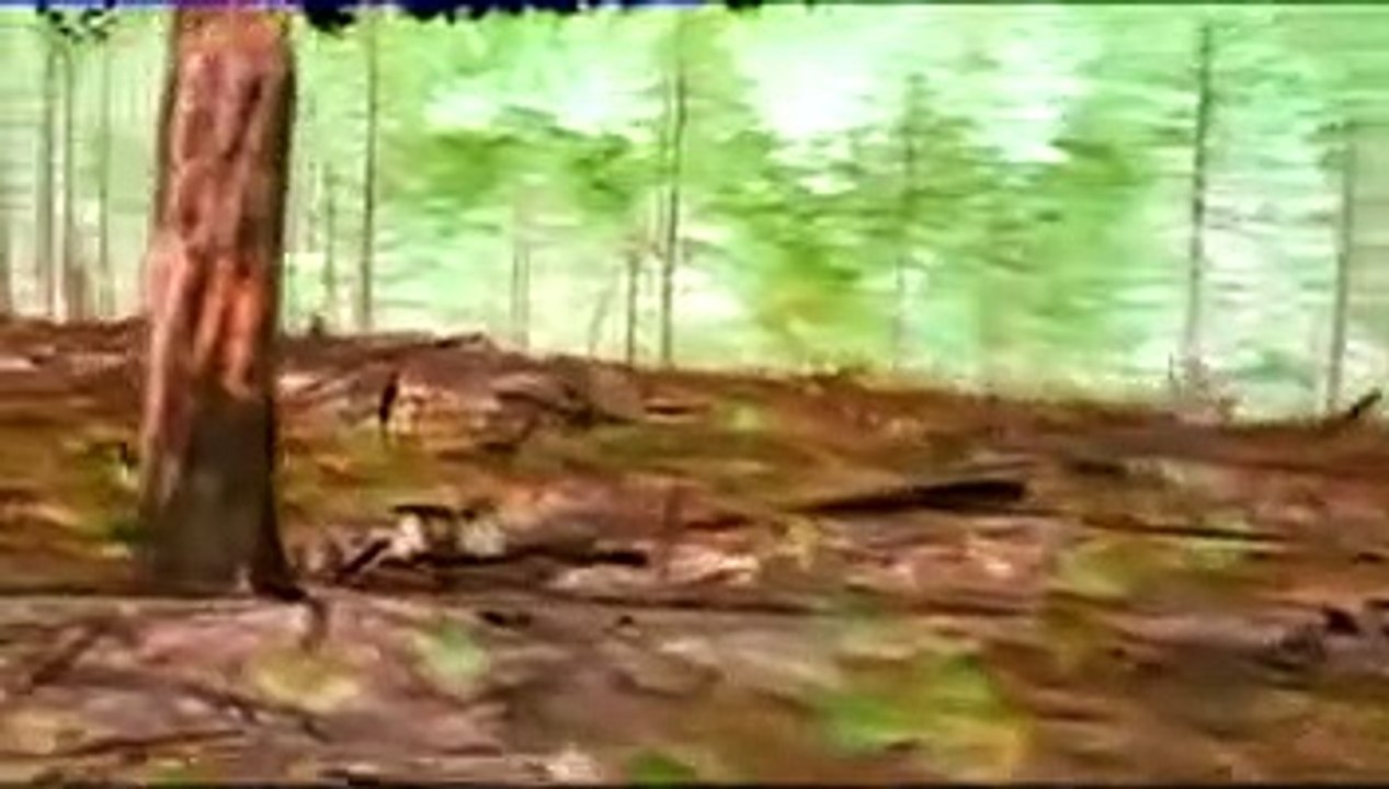 Crazy Wisdom: The Life and Times of Chögyam Trungpa Rinpoche | movie | 2011 | Official Trailer