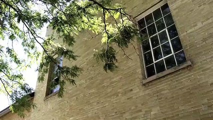 One Man's Treasure | movie | 2009 | Official Trailer