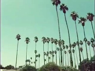 Mur Murs | movie | 1982 | Official Trailer