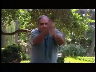Cry of the Winged Serpent | movie | 2005 | Official Trailer