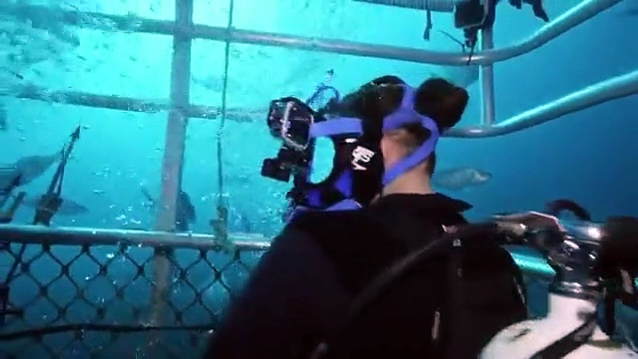 Shark Week - Se33 - Ep04 - Abandoned Waters HD Watch