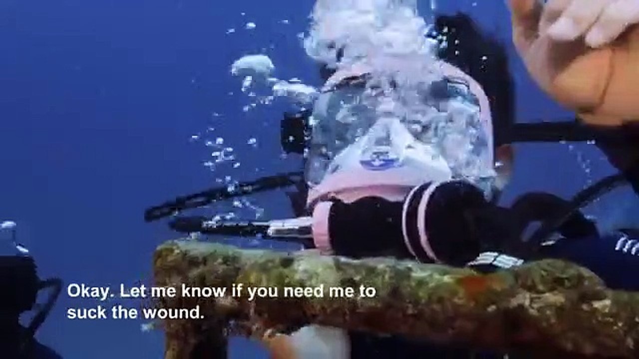 Shark Week - Se33 - Ep11 - Adam Devine's Secret Shark Lair HD Watch