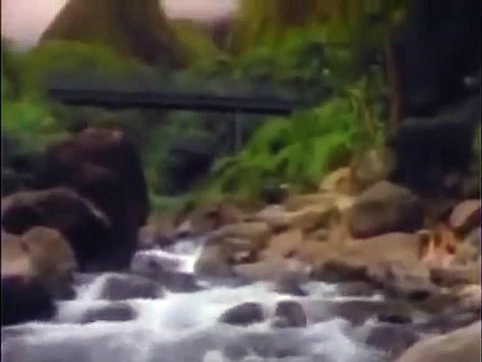 So Weird - Se2 - Ep20 HD Watch