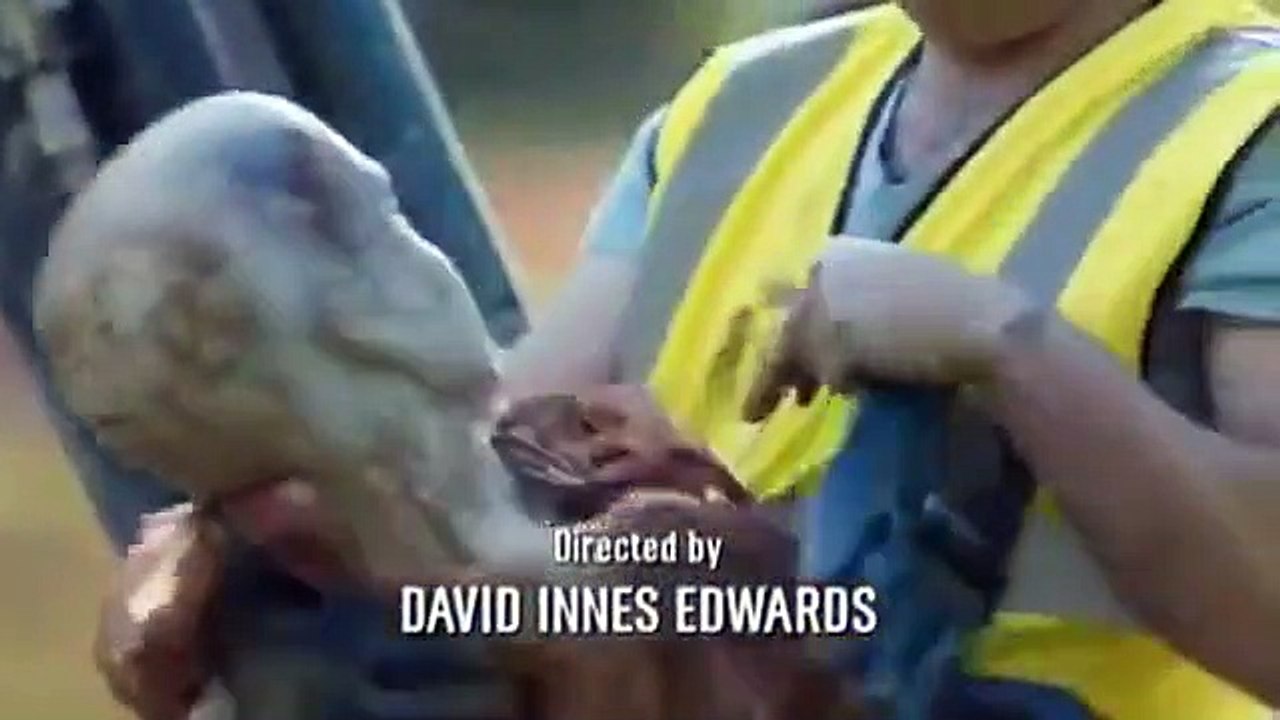 New Tricks - Se12 - Ep09 HD Watch