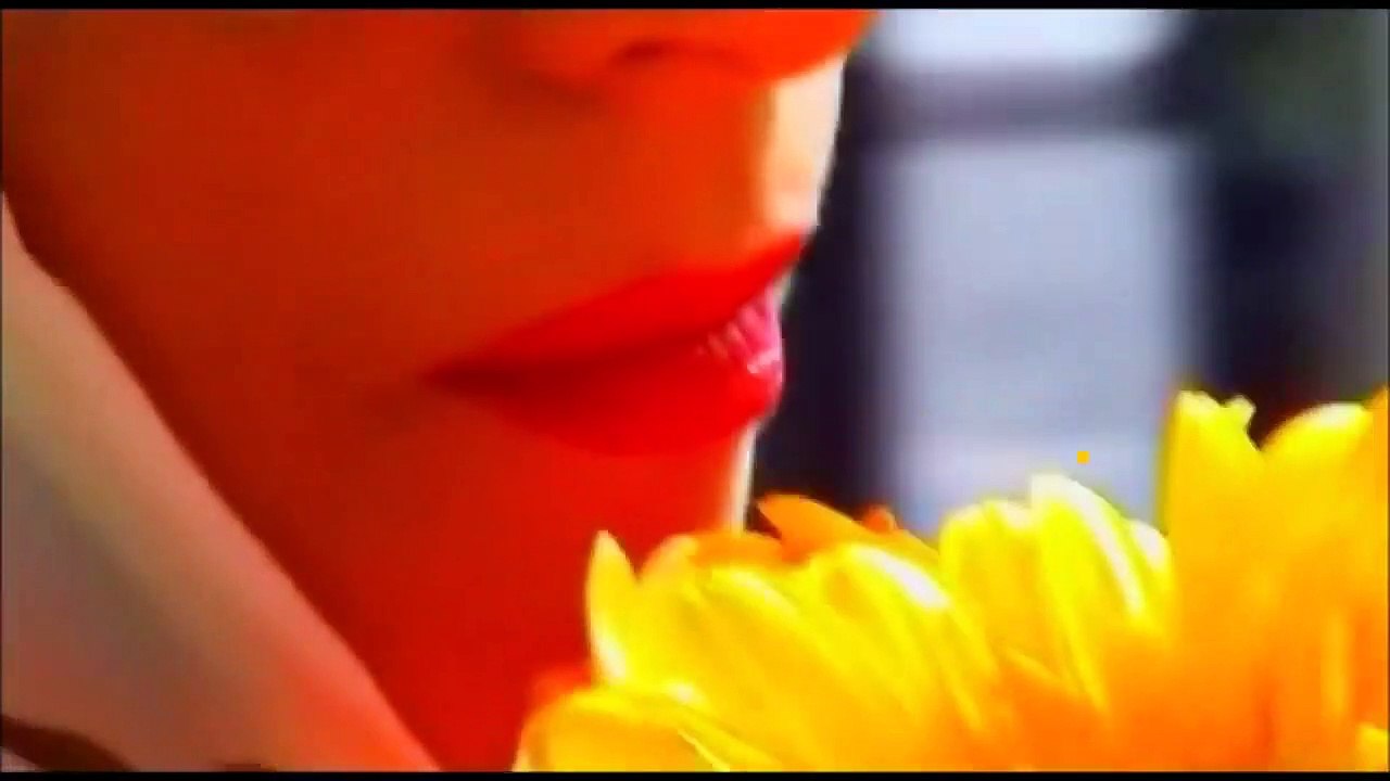 The Raspberry Reich | movie | 2004 | Official Trailer