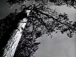 Deep Valley | movie | 1947 | Official Trailer