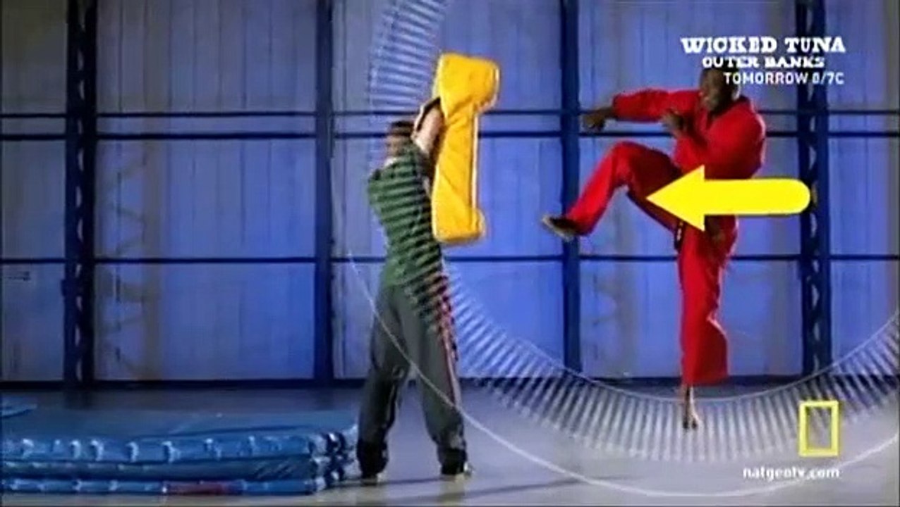 Science of Stupid - Se2 - Ep10 HD Watch