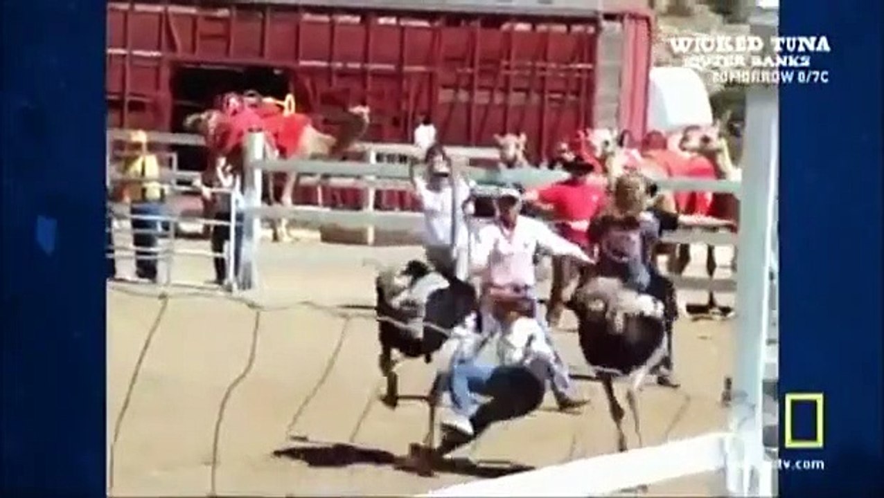 Science of Stupid - Se2 - Ep13 HD Watch