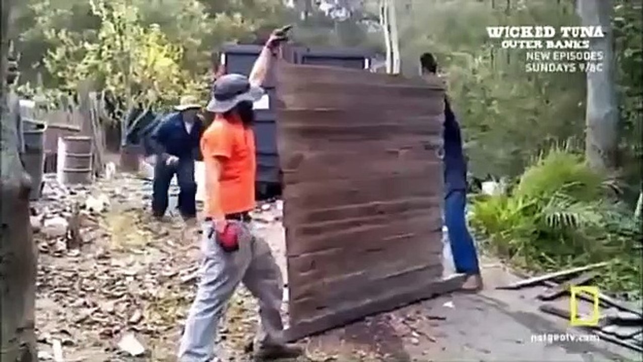 Science of Stupid - Se2 - Ep16 HD Watch