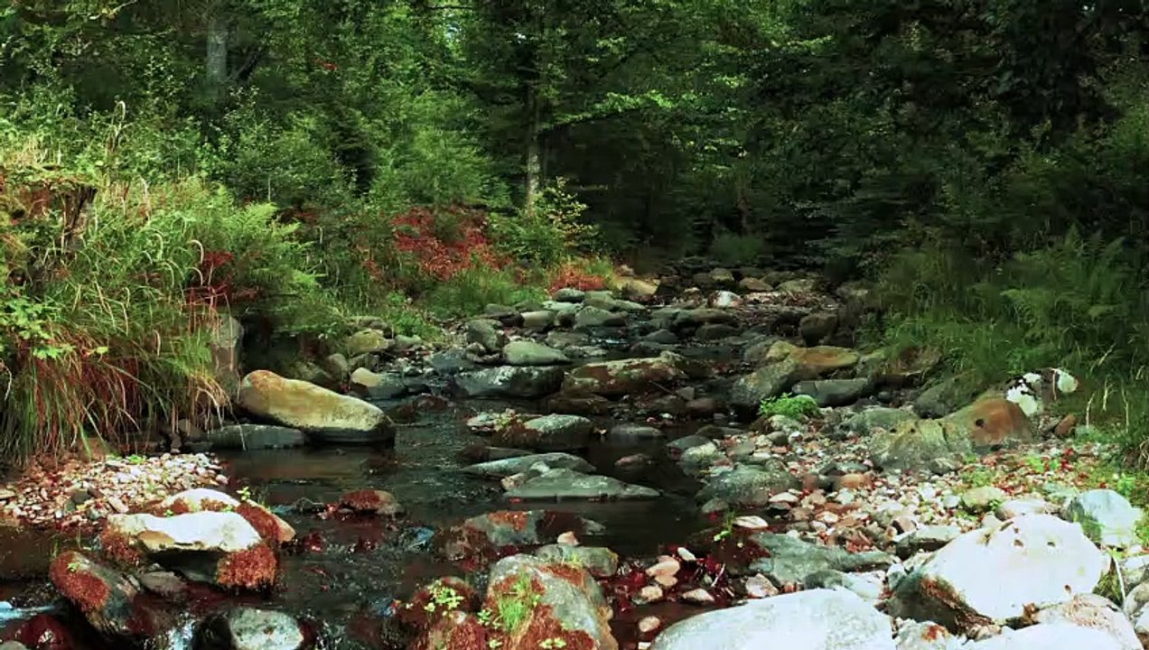 Along The River
