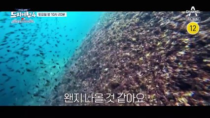 [예고] 예측할 수 없는 녀석들의 등장!!! 오도열도 두 번째 이야기