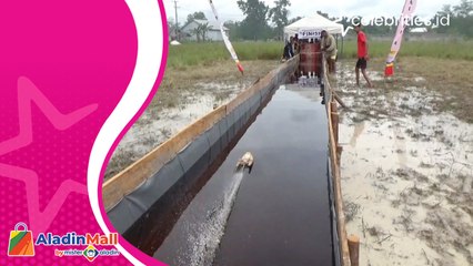 Serunya Bermain Ketinting, Speedboat Mini dari Kayu Menggunakan Dinamo