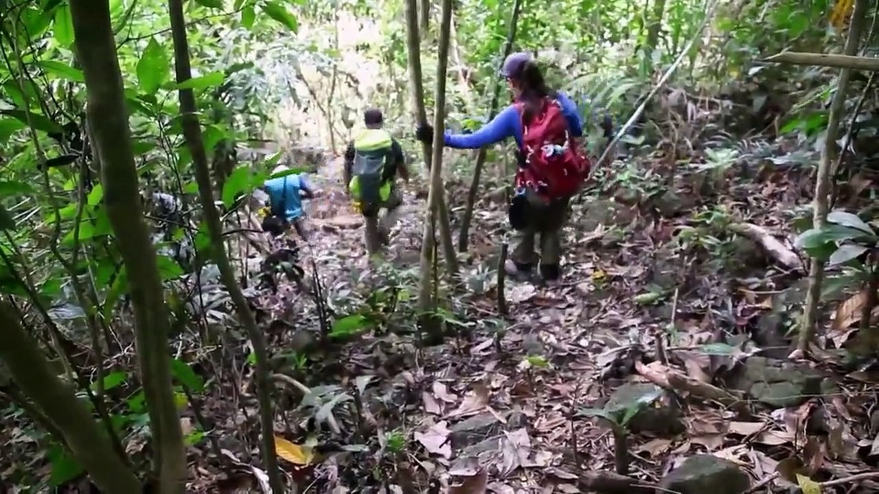 Nova - Se45 - Ep14 - Last B-24 HD Watch