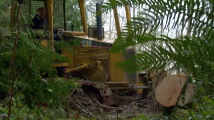Ax Men | show | 2008 | Official Trailer