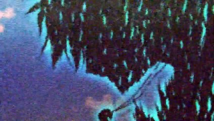 Servamp Official Trailer (2016) – A Black Cat Changes Everything 🐾