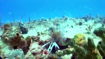 The F Word (US) - Se1 - Ep04 HD Watch