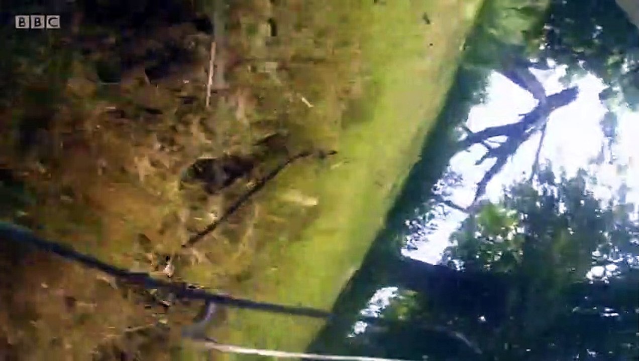 Close Calls - On Camera - Se7 - Ep04 HD Watch