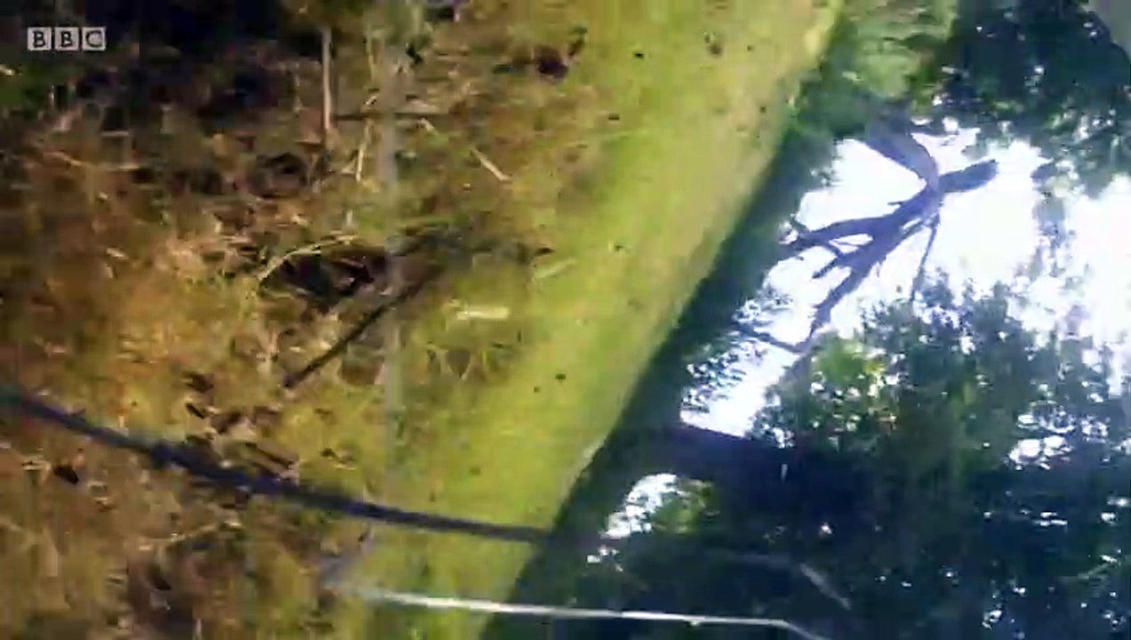 Close Calls - On Camera - Se7 - Ep09 HD Watch