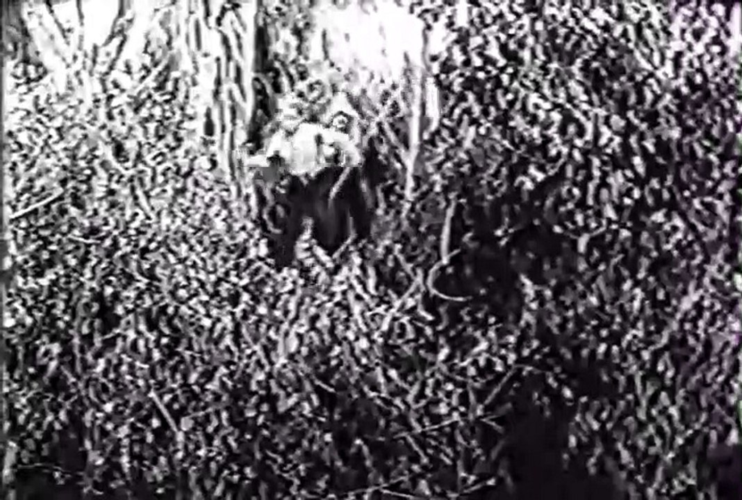 Fury - Se1 - Ep25 HD Watch