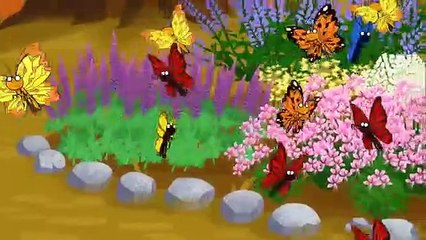 Nature Cat - Se1 - Ep07 HD Watch