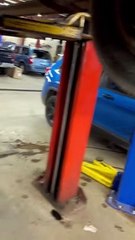 Surprise Squeaking Noise