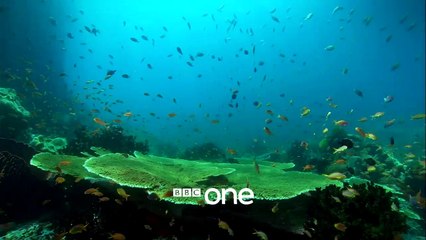 Drowning in Plastic | show | 2018 | Official Trailer