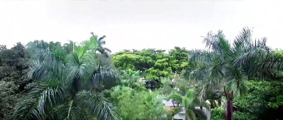 American Valhalla | movie | 2017 | Official Trailer