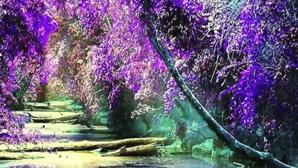 Clear Financial Blocks-Reiki Healing Music