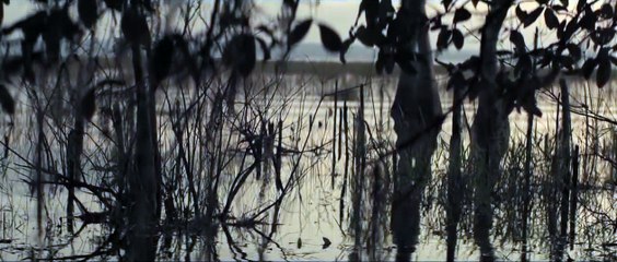 The Curse of La Patasola | movie | 2022 | Official Trailer