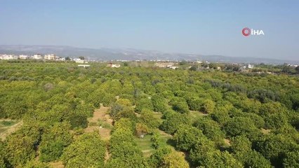 Üniversiteli öğrencilerden 'iyilik eli'