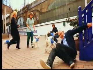 Paul O'Grady: For the Love of Dogs | show | 2012 | Official Trailer