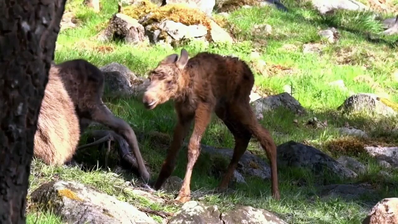 Beyond the Unknown - Se2 - Ep02 - Amelia Earhart HD Watch