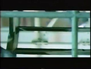 Terminal Rush | movie | 1996 | Official Trailer