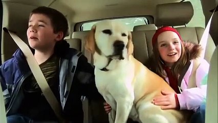 The Dog Who Saved Christmas Vacation | movie | 2010 | Official Trailer