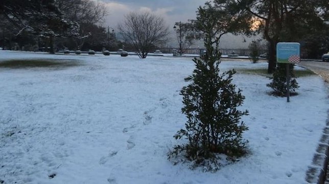 İstanbul'da kar yağışı etkili oluyor