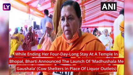 Uma Bharti To Open Cow Shelters In Liquor Shops In Madhya Pradesh, ‘I’ll No Longer Wait,’ Says The BJP Leader