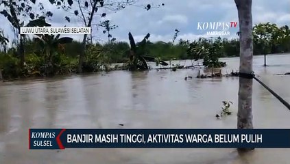 Banjir Masih Tinggi, Aktivitas Warga Belum Pulih