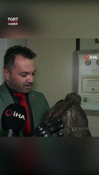 Yaralı Bulduğu Şahine Tofaş Adını Verdi #shorts