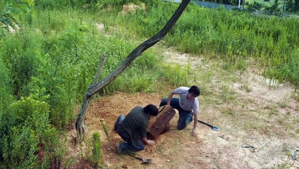 Summer of Changsha | movie | 2019 | Official Trailer