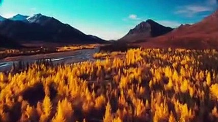 Arctic Air | show | 2012 | Official Trailer