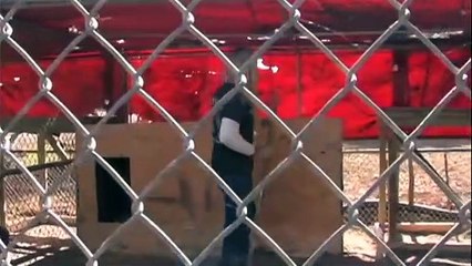 The Tiger Next Door | movie | 2009 | Official Trailer