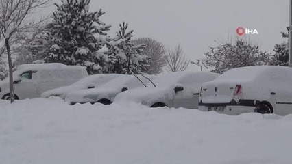 Ahlat'ta yoğun kar yağışı etkisini sürdürüyor
