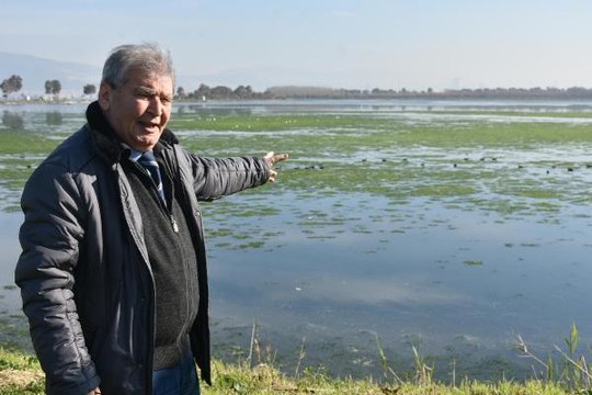 PROF. DR. YAŞAR: BU SENE İZMİR KÖRFEZİ'NDE DENİZ MARULU HİÇ BİTMEDİ